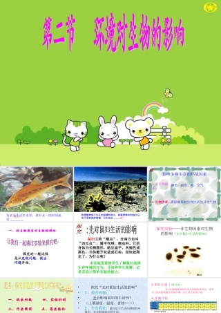 七年级生物第二节 环境对生物的影响课件人教版 课件