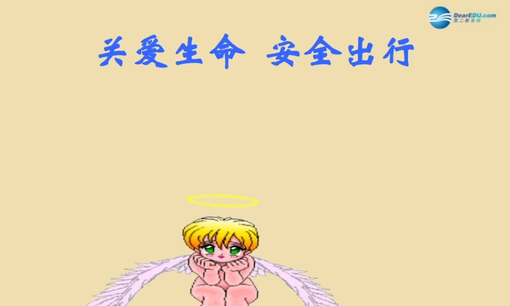 中学安全教育主题班会(关爱生命 安全出行)课件