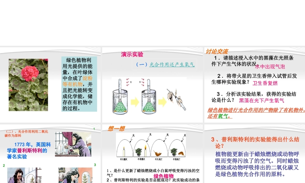 七年级生物上册 绿色植物与生物圈中的碳氧平衡课件 人教新课标版 课件