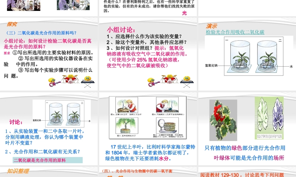 七年级生物上册 绿色植物与生物圈中的碳氧平衡课件 人教新课标版 课件