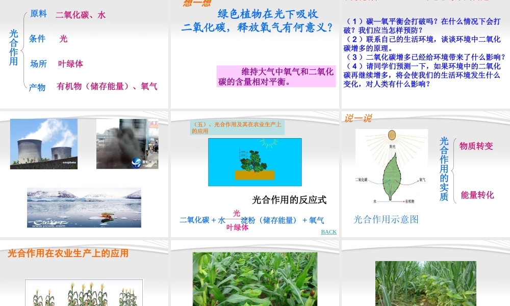 七年级生物上册 绿色植物与生物圈中的碳氧平衡课件 人教新课标版 课件