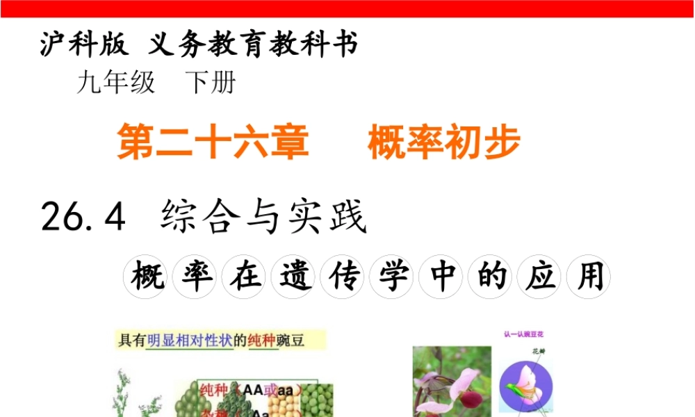 26.4综合与实践概率在遗传学中的应用