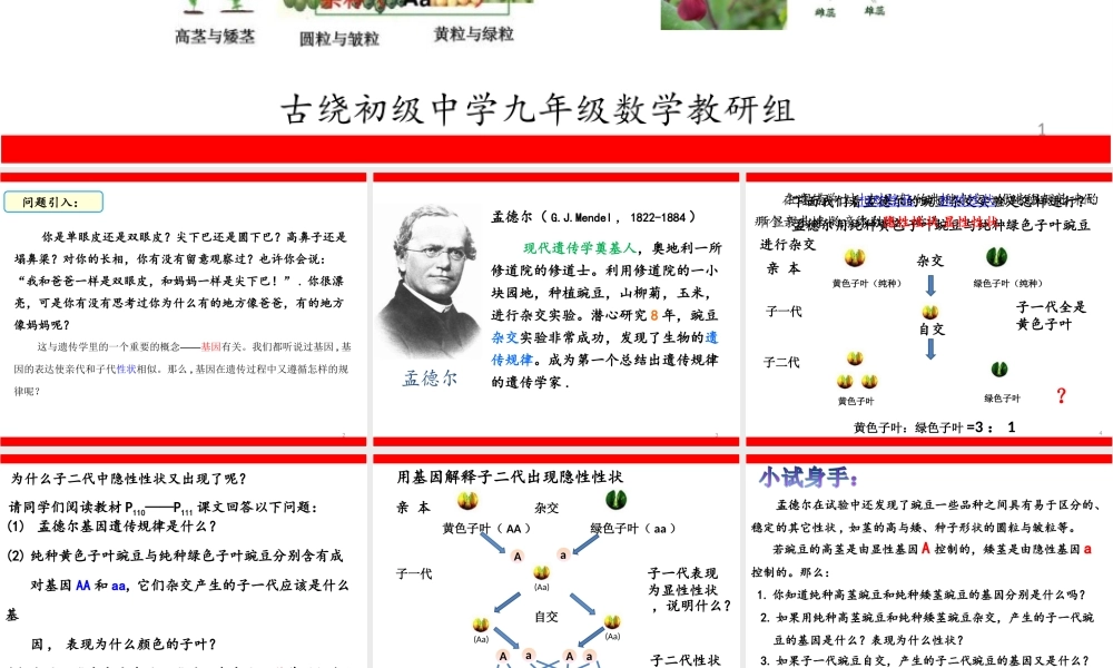 26.4综合与实践概率在遗传学中的应用