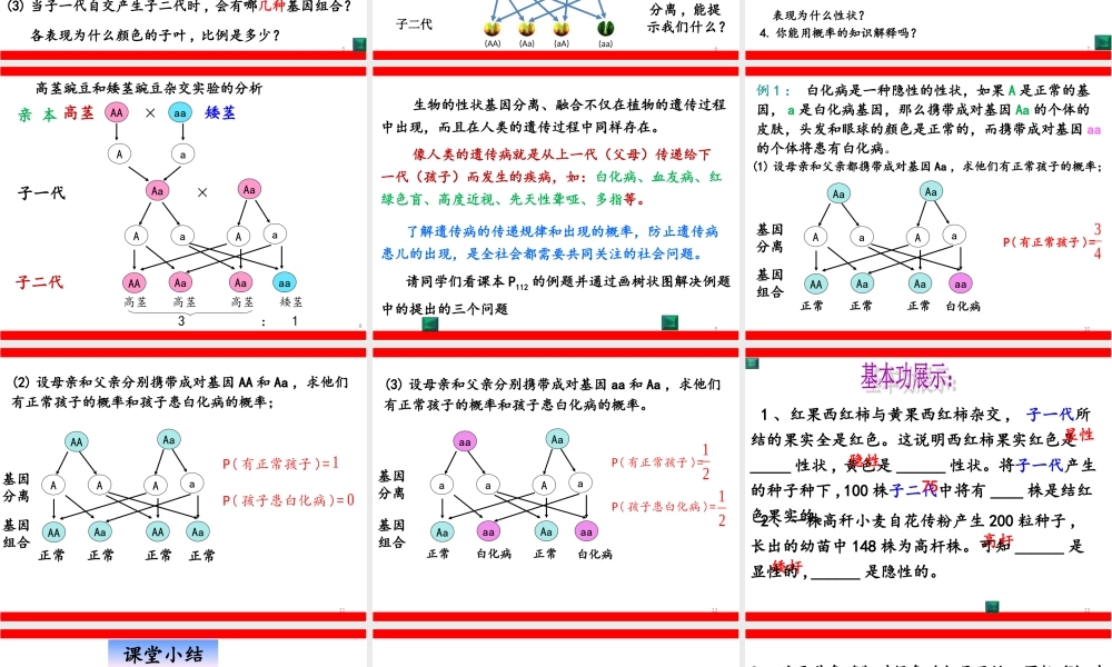 26.4综合与实践概率在遗传学中的应用