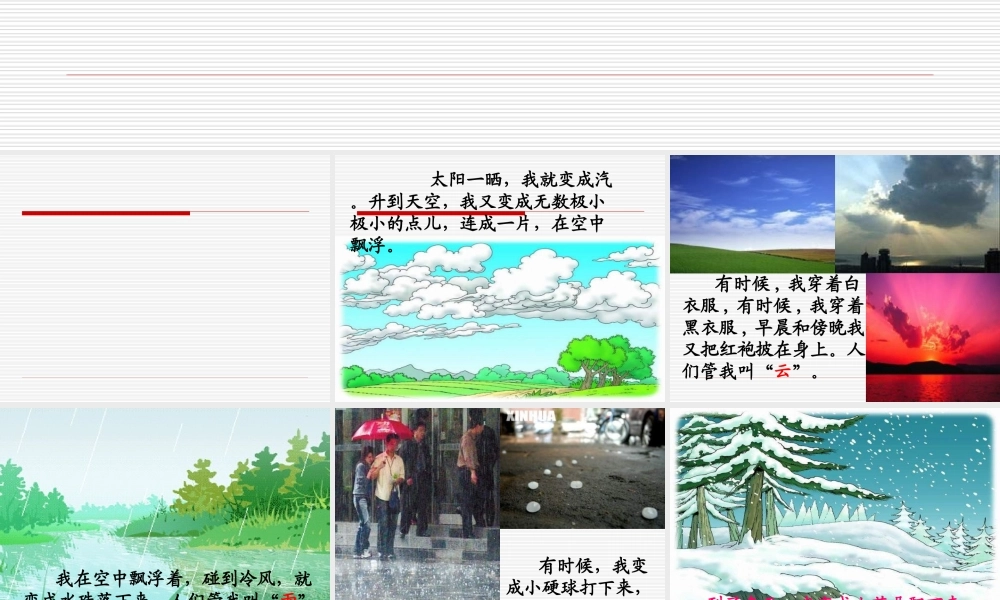 二年级语文我是什么课件