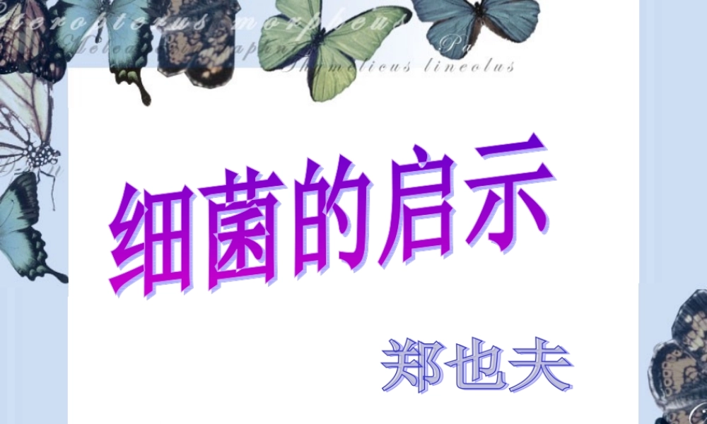 《细菌的启示》参考课件4