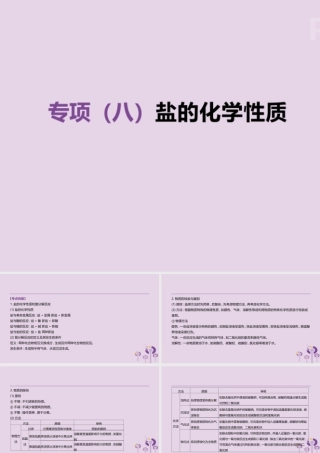 中考化学复习 第一篇 基础过关篇 专项08 盐的化学性质课件