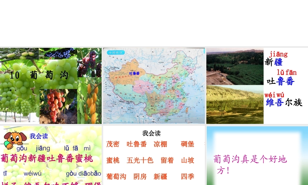 终结葡萄沟课件