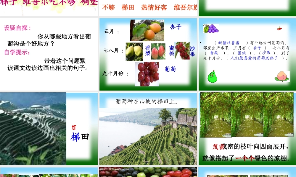 终结葡萄沟课件