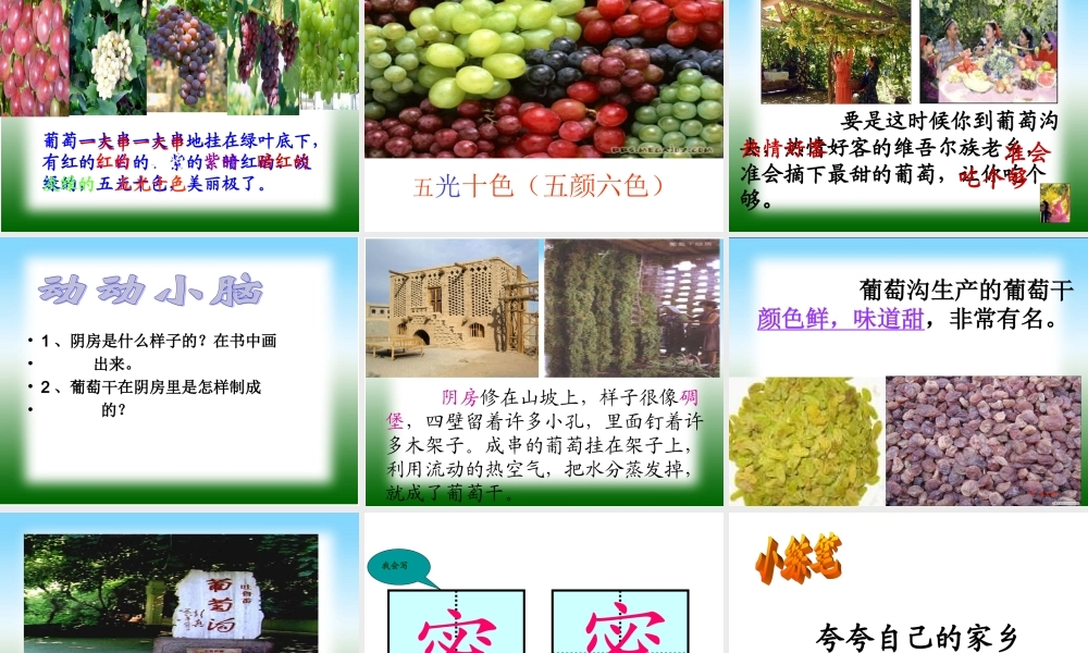 终结葡萄沟课件