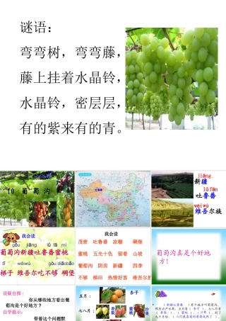 终结葡萄沟课件