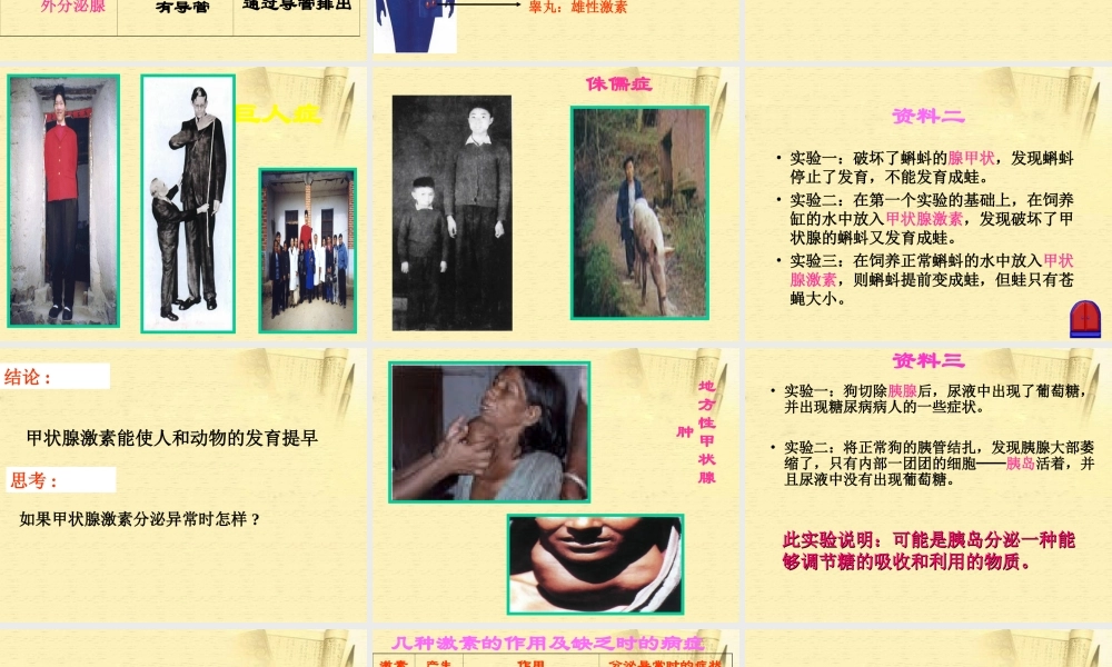 七年级生物下册 第四节 激素调节课件 人教新课标版 课件