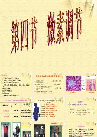 七年级生物下册 第四节 激素调节课件 人教新课标版 课件