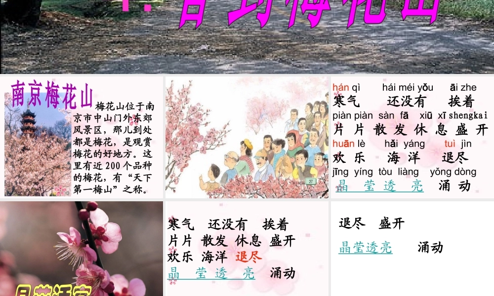 春到梅花山赵星宇