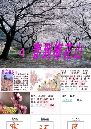 春到梅花山赵星宇