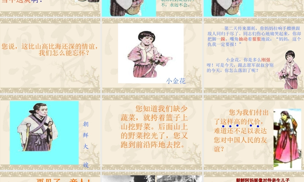 《再见了亲人》PPT课件