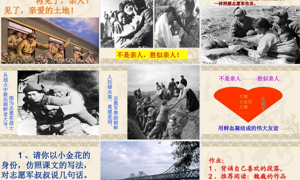 《再见了亲人》PPT课件