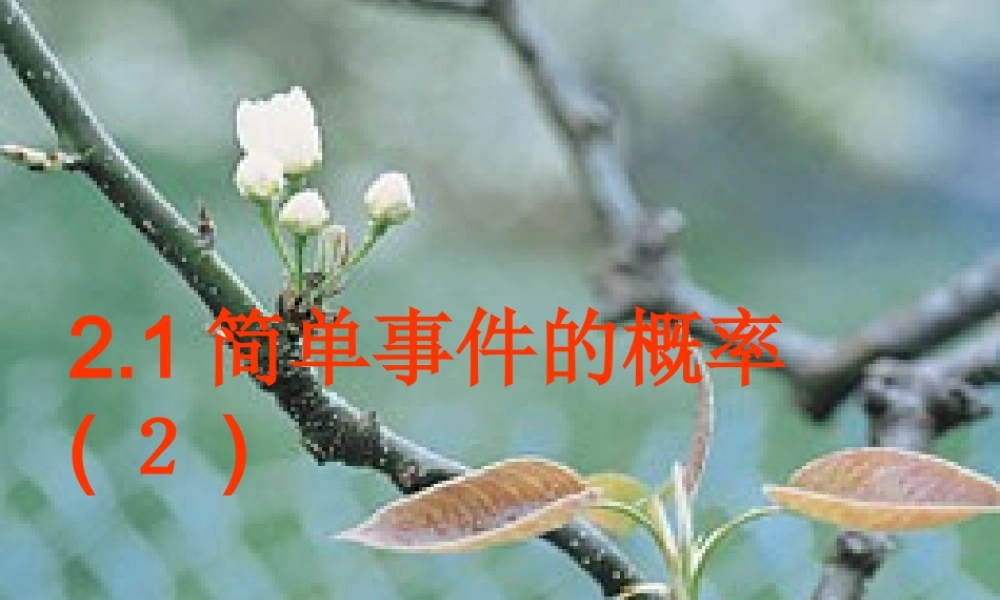 九年级数学简单事件的概率课件二 新课标 浙教版 课件