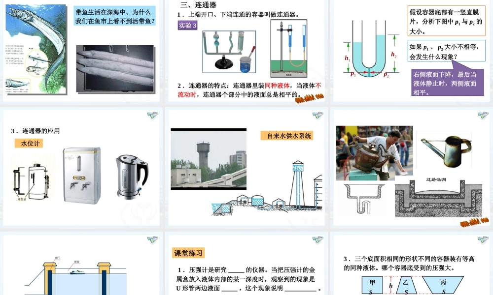 (2013春最新版)新人教版八年级物理下册：第九章第二节_液体的压强_课件