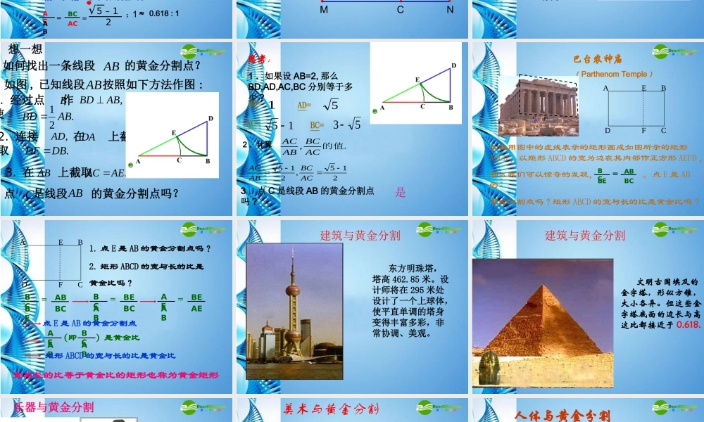 八年级数学下册 4.2(黄金分割)课件 北师大版 课件