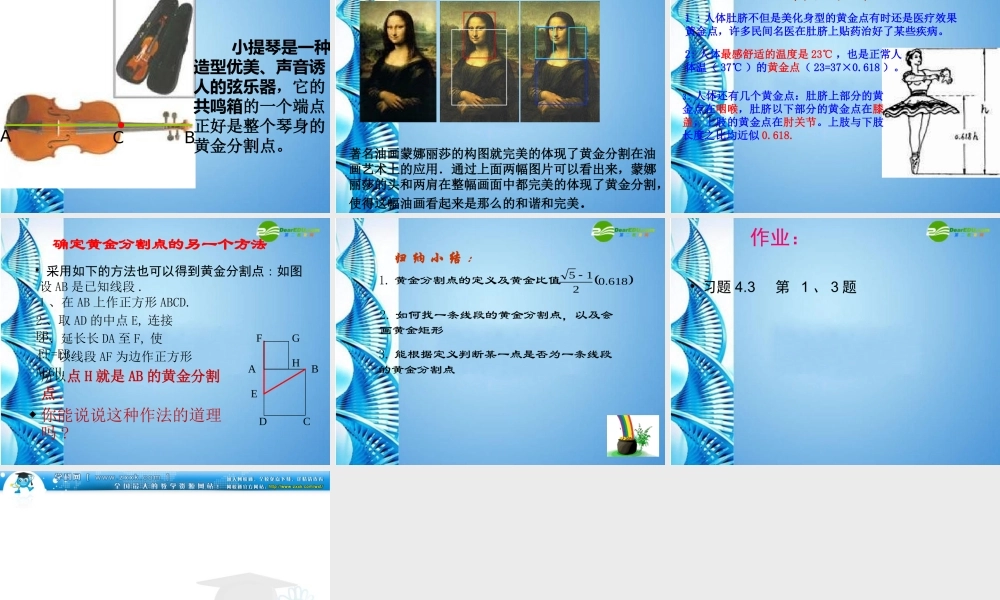 八年级数学下册 4.2(黄金分割)课件 北师大版 课件