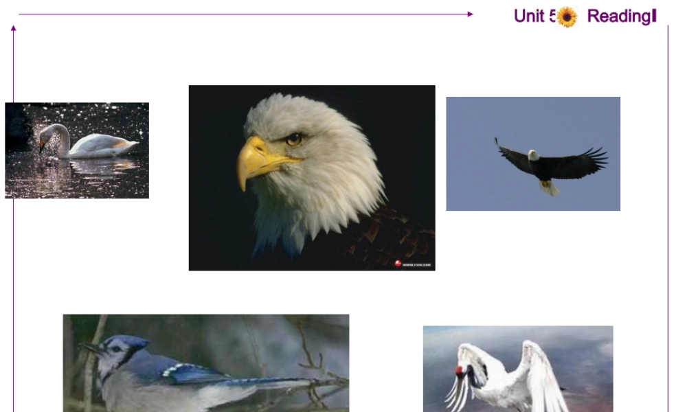 unit5reading1
