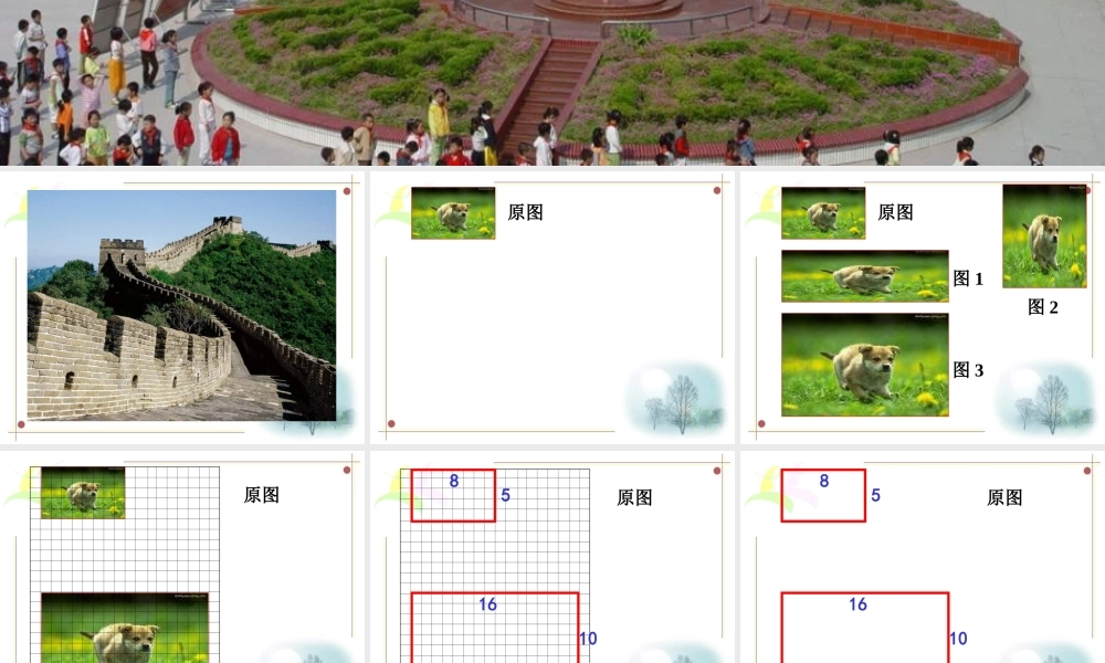 六年级数学图形的放大和缩小