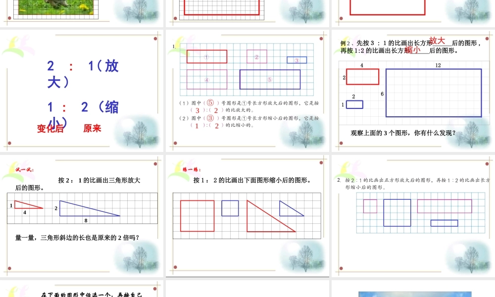 六年级数学图形的放大和缩小