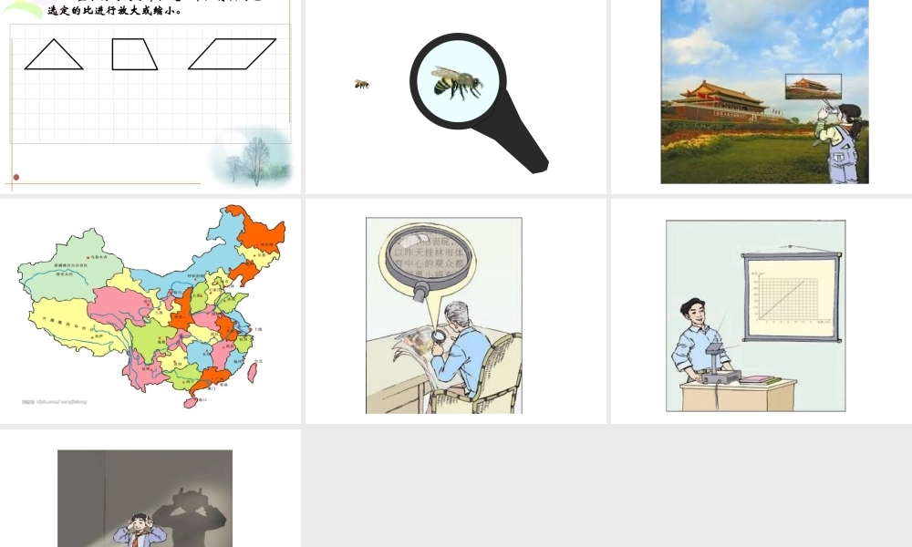 六年级数学图形的放大和缩小