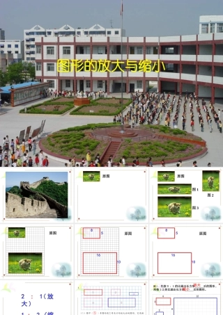 六年级数学图形的放大和缩小