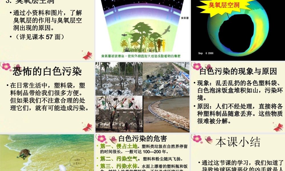 9、伤心的地球母亲