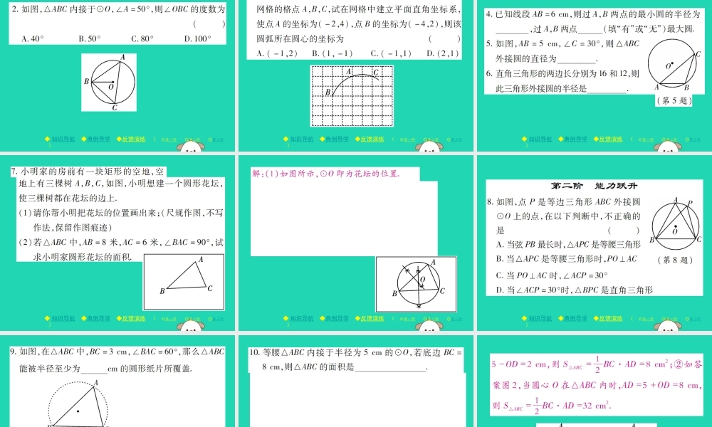 九年级数学下册 第三章(圆)5 确定圆的条件习题课件 (新版)北师大版 课件