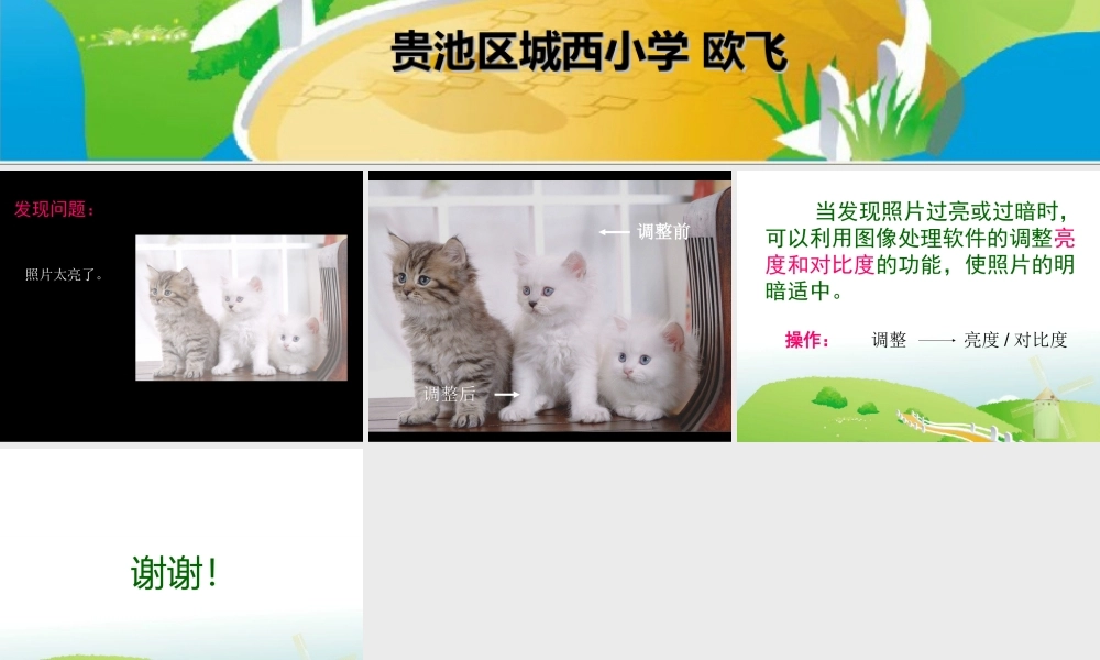 （微课课件）调整照片的亮度和对比度