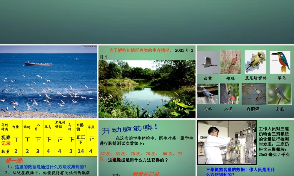 中学七年级数学下册 6.1数据的收集与整理(第2课时)课件 (新版)浙教版 课件