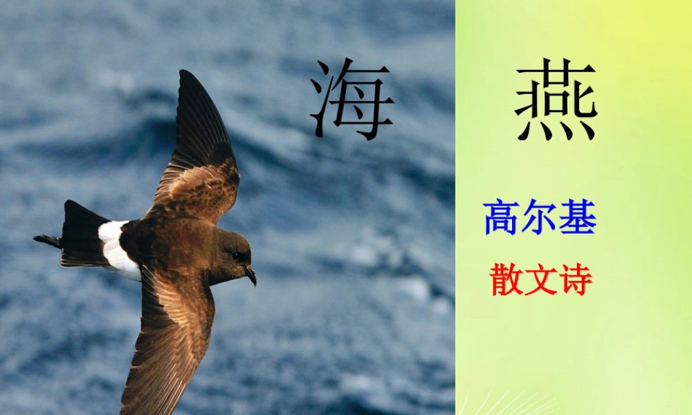 八年级语文下册(第9课 海燕)课件 新人教版 课件
