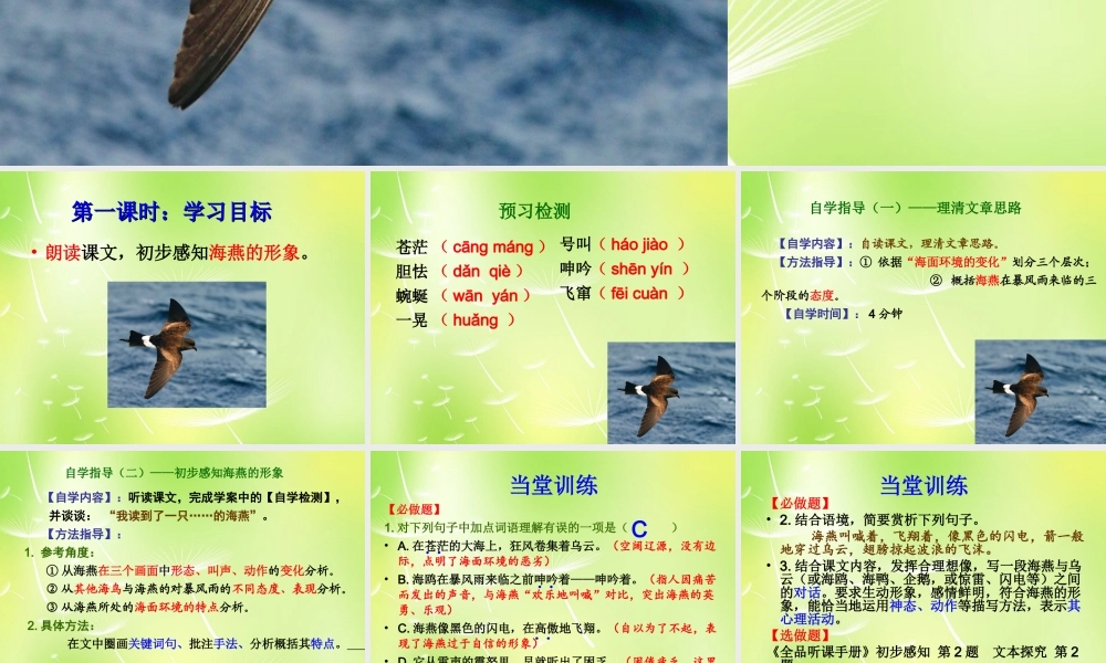 八年级语文下册(第9课 海燕)课件 新人教版 课件