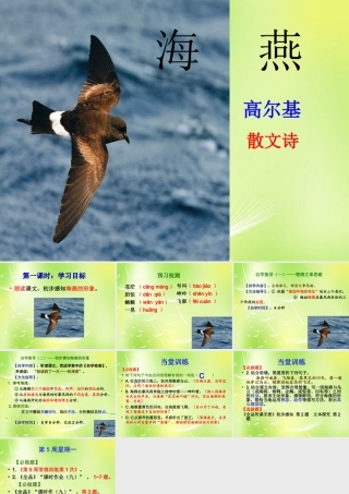 八年级语文下册(第9课 海燕)课件 新人教版 课件
