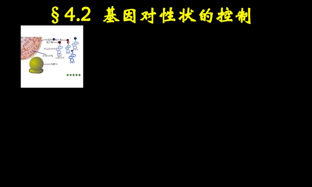 基因对性状的控制