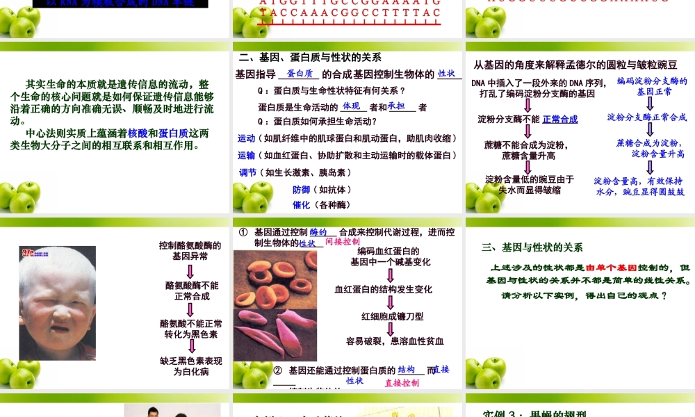 基因对性状的控制