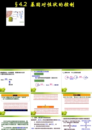 基因对性状的控制