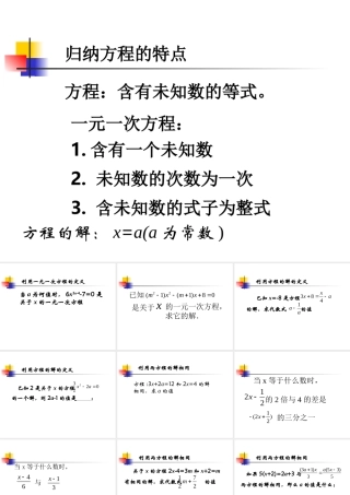 解方程综合应用