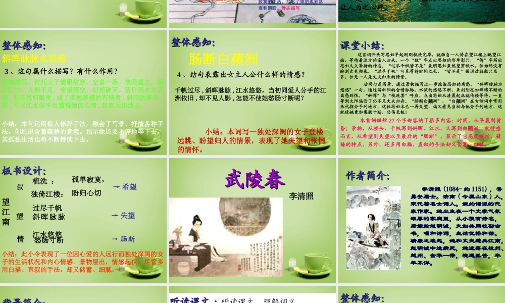 九年级语文上册 25(词五首)课件 新人教版 课件