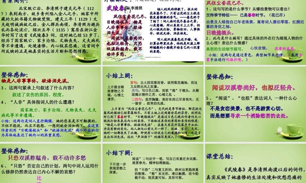 九年级语文上册 25(词五首)课件 新人教版 课件