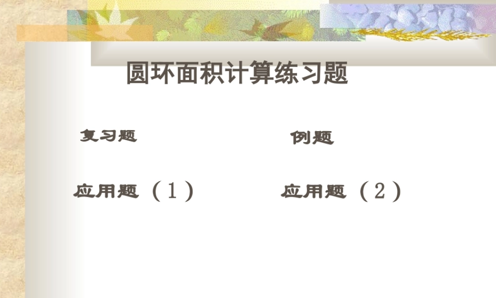 圆环面积计算练习题