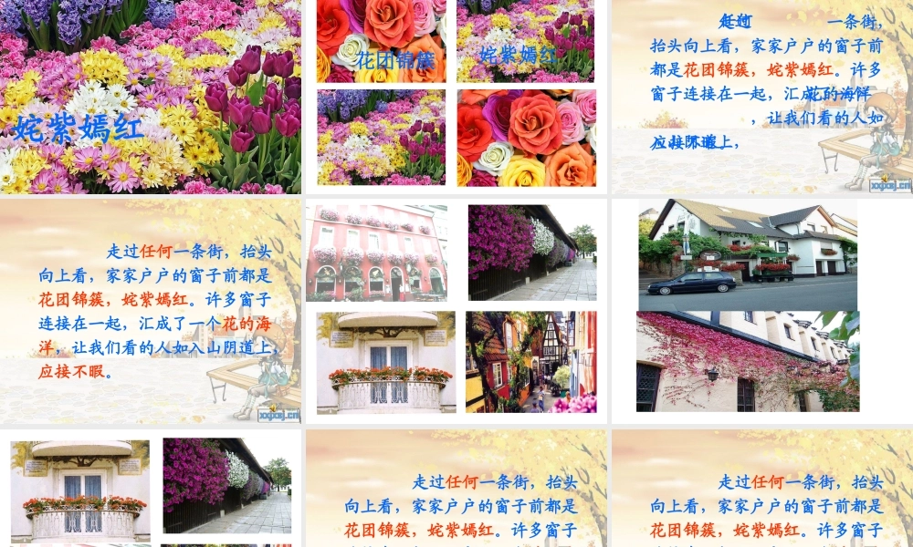 《自己的花是让别人看的》课件 (2)