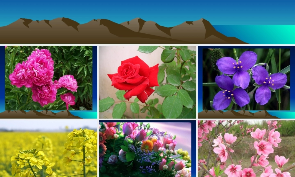 湘版科学小学四年《花开花落为哪般》