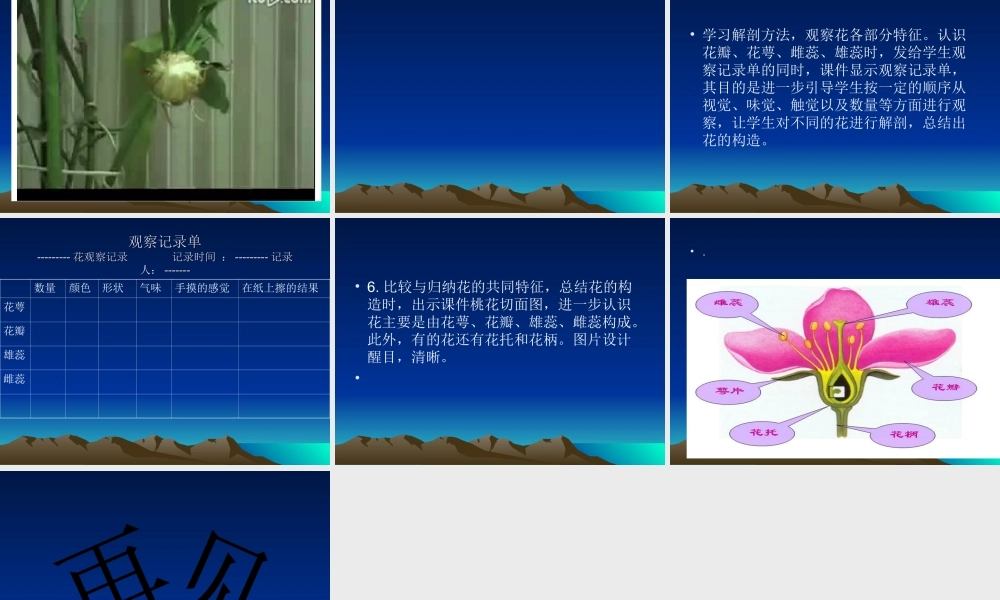 湘版科学小学四年《花开花落为哪般》