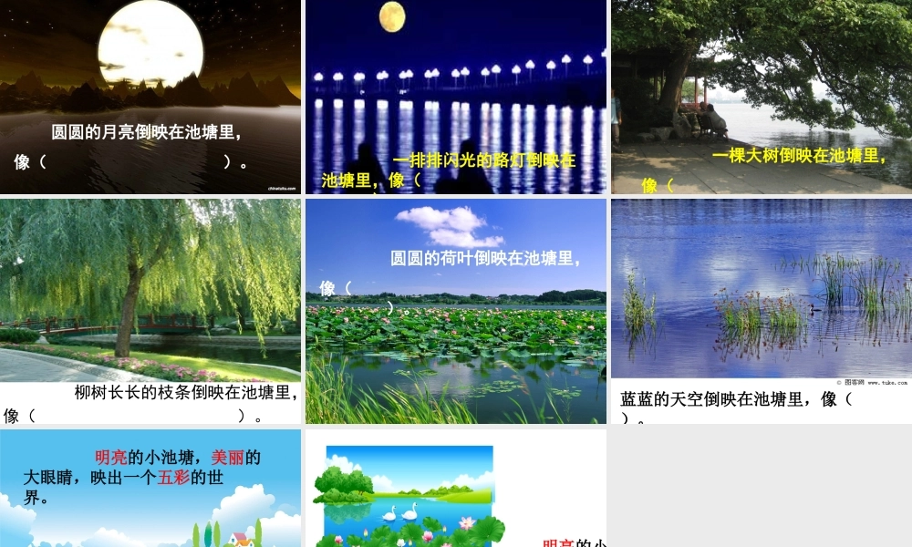 小池塘-(苏教版小学一年级下册语文)