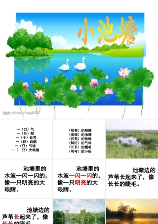 小池塘-(苏教版小学一年级下册语文)