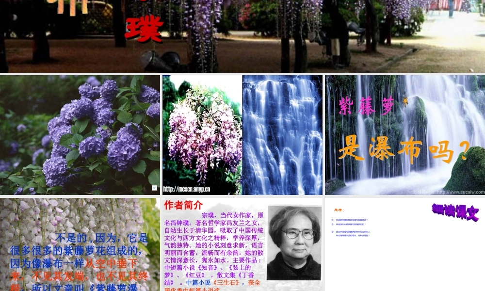 《紫藤萝瀑布》PPT